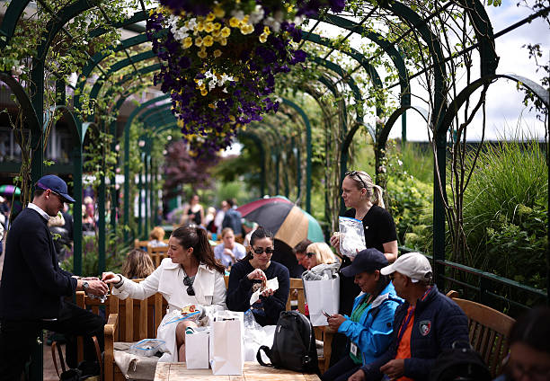 郑钦文比赛直播：赢球是真是假？视频为你解答！